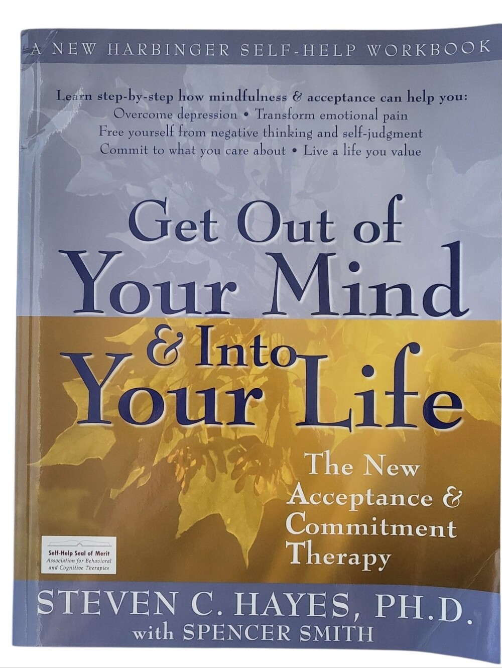 Get Out of Your Mind & Into Your Life Self Help Workbook